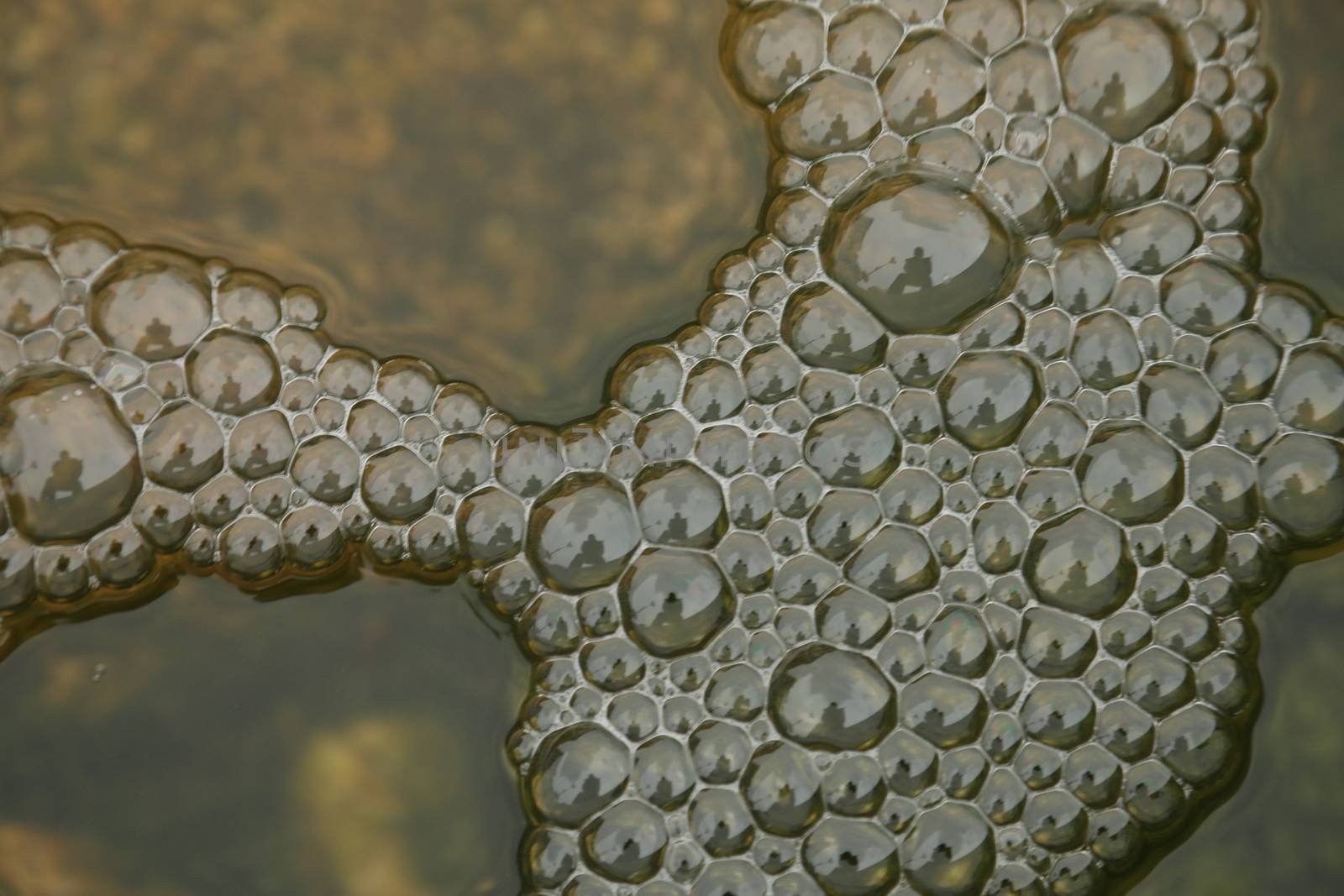 Water waves in the sea