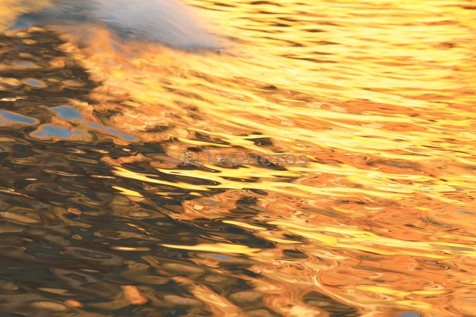 Water waves in the sea