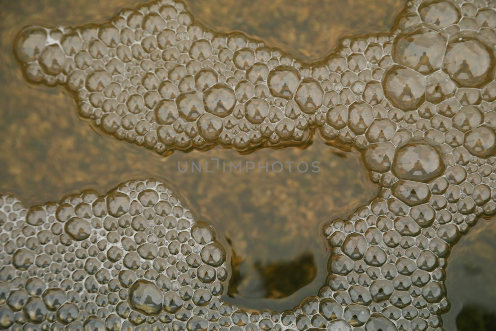 Water waves in the sea