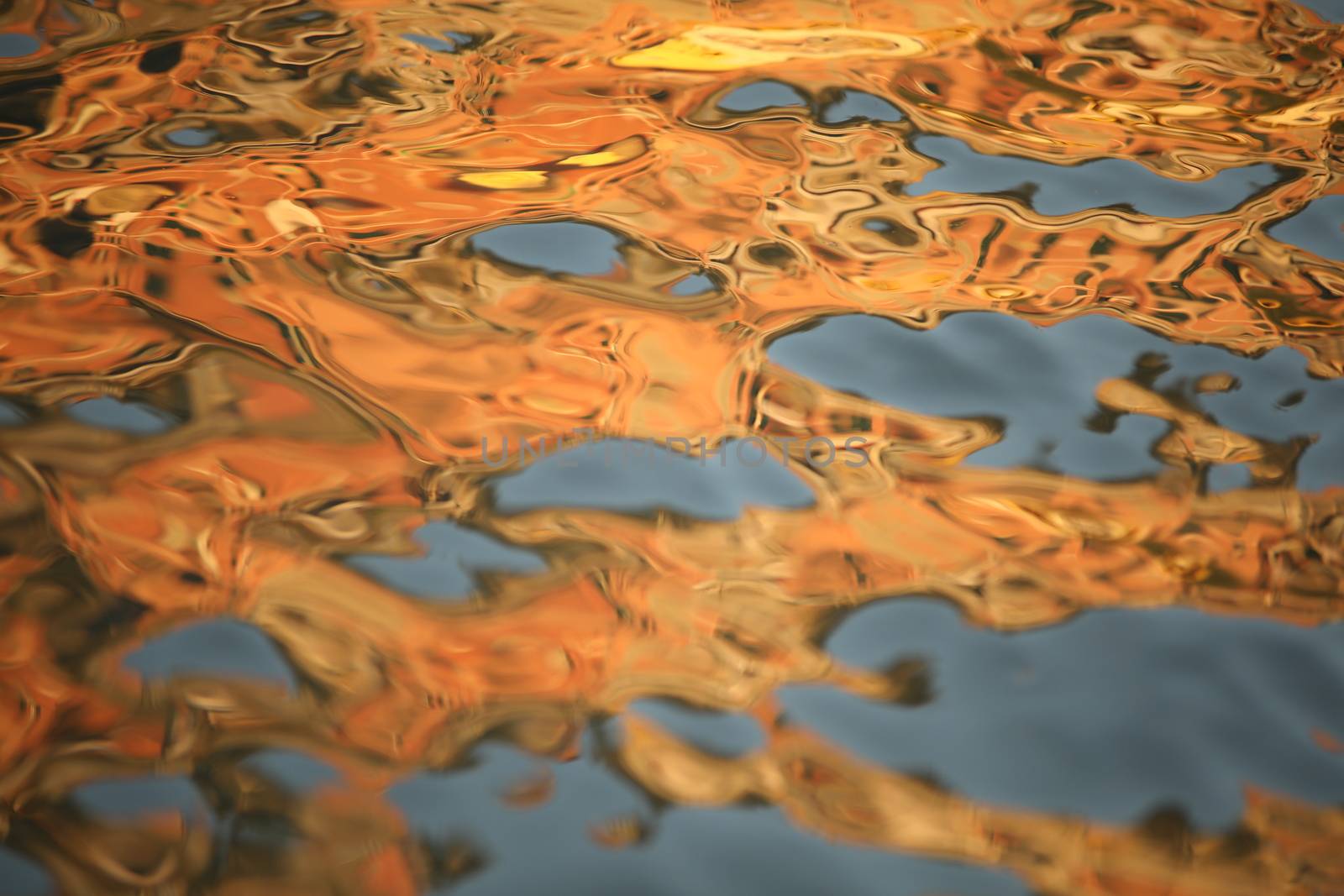 Water waves in the sea