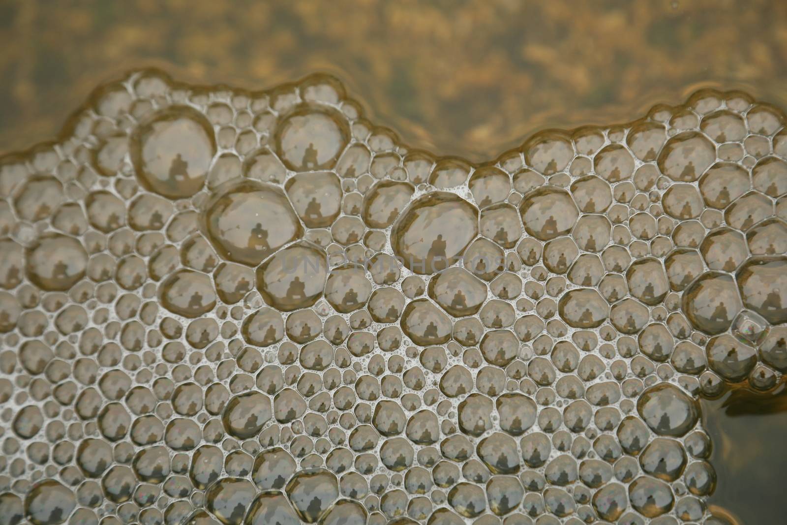 Water waves in the sea