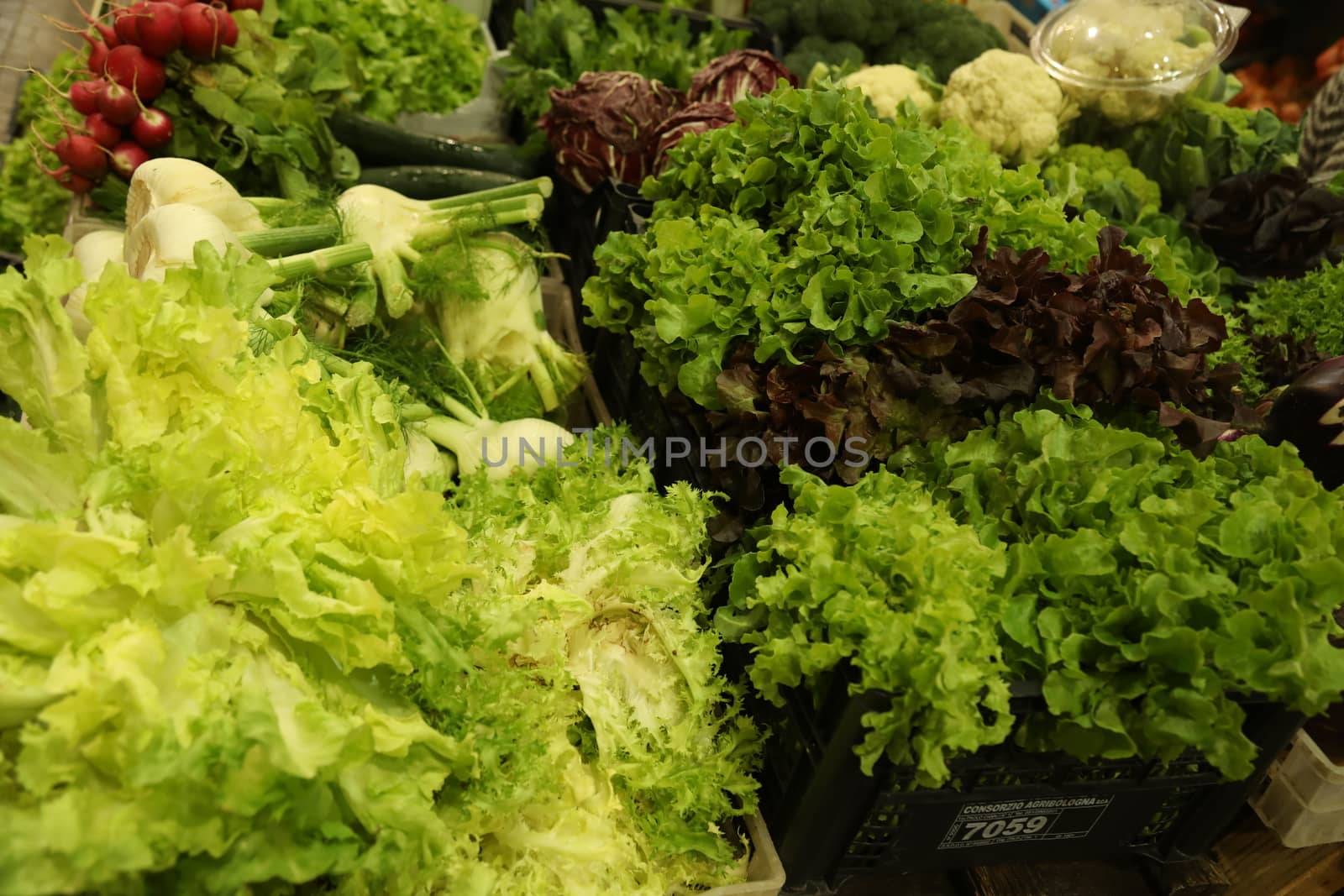 Vegetables close up