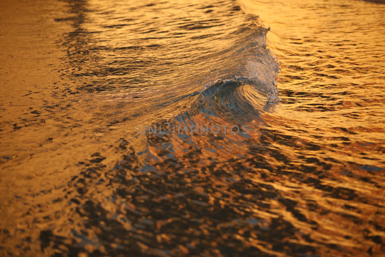 Water waves in the sea