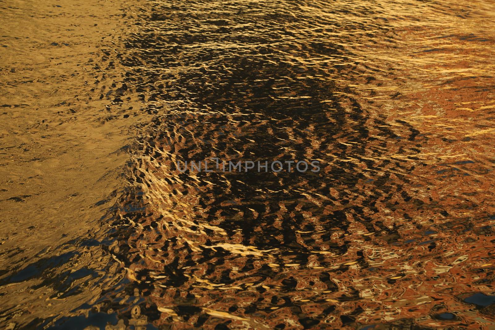 Water waves in the sea