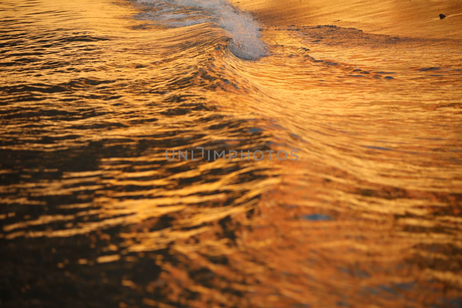 Water waves in the sea