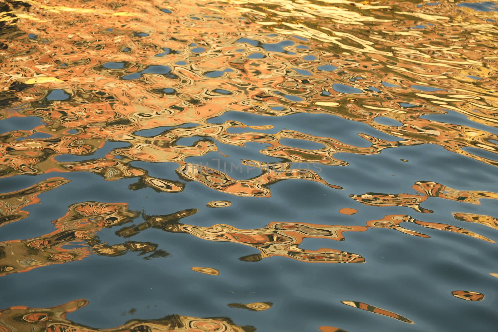 Water waves in the sea