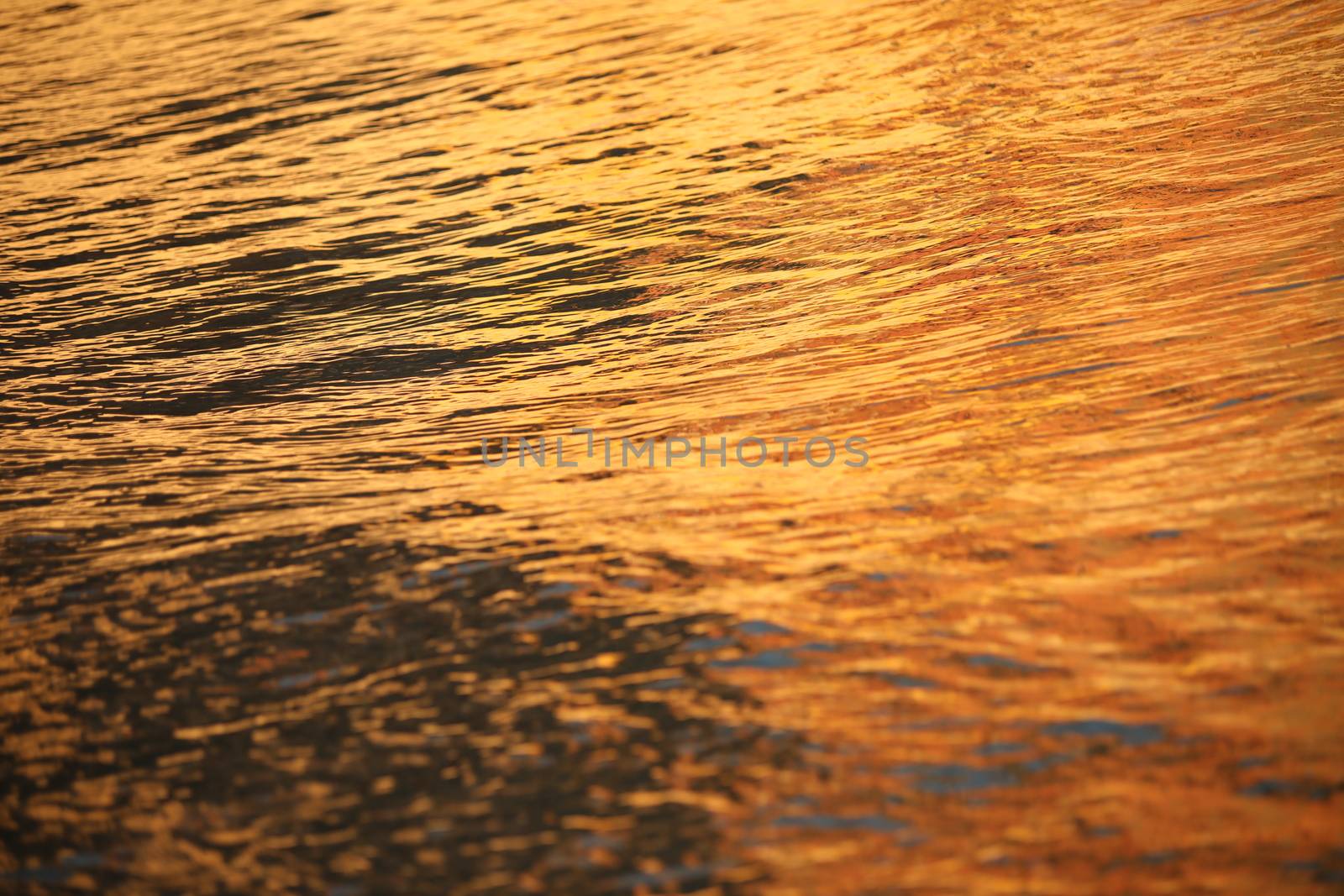 Water waves in the sea