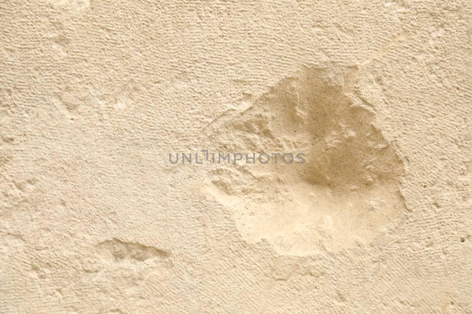 Raw stone Texture