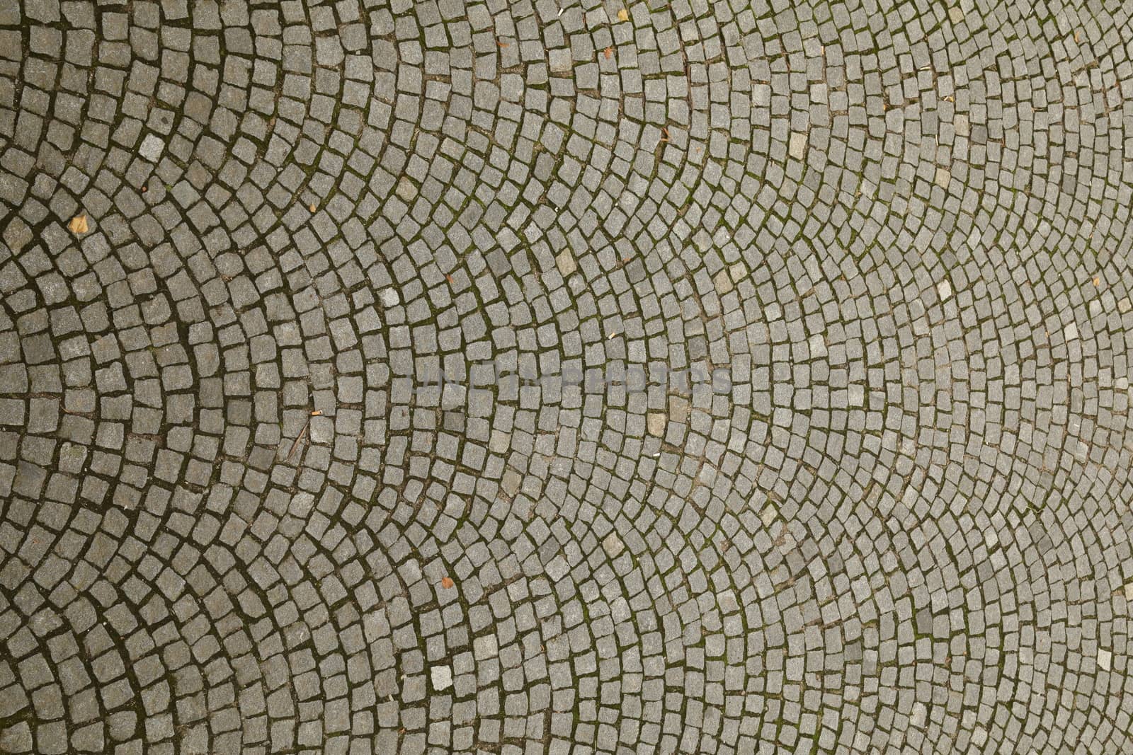Raw stone Texture