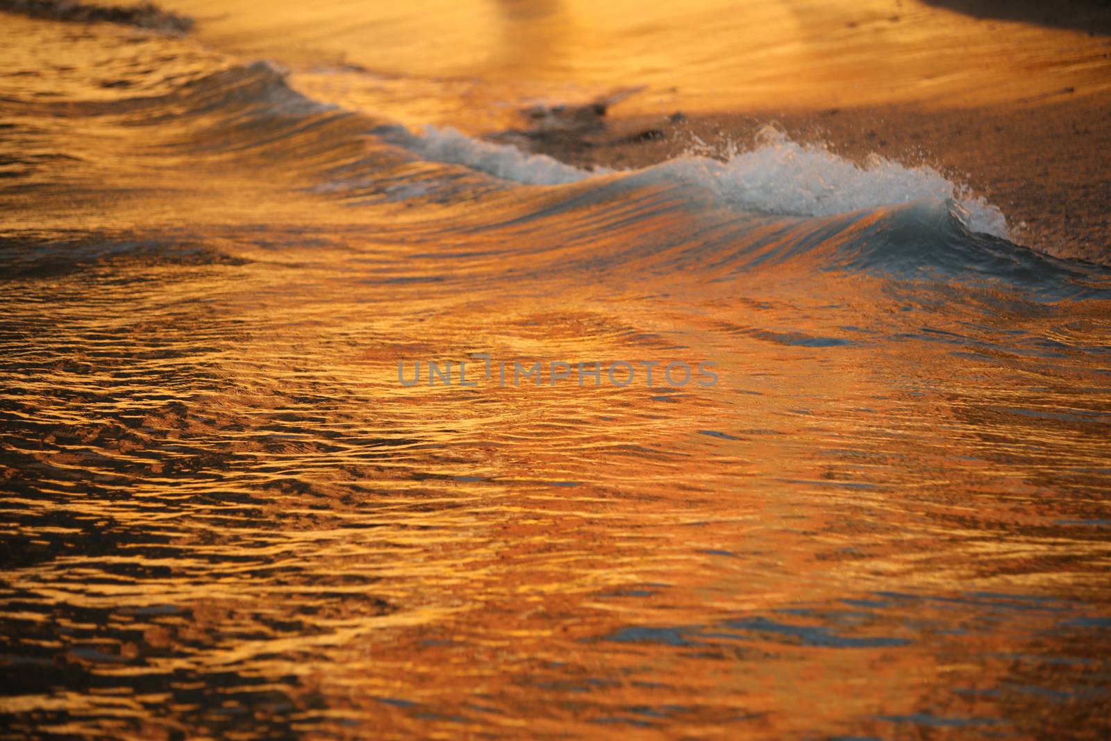 Water waves in the sea