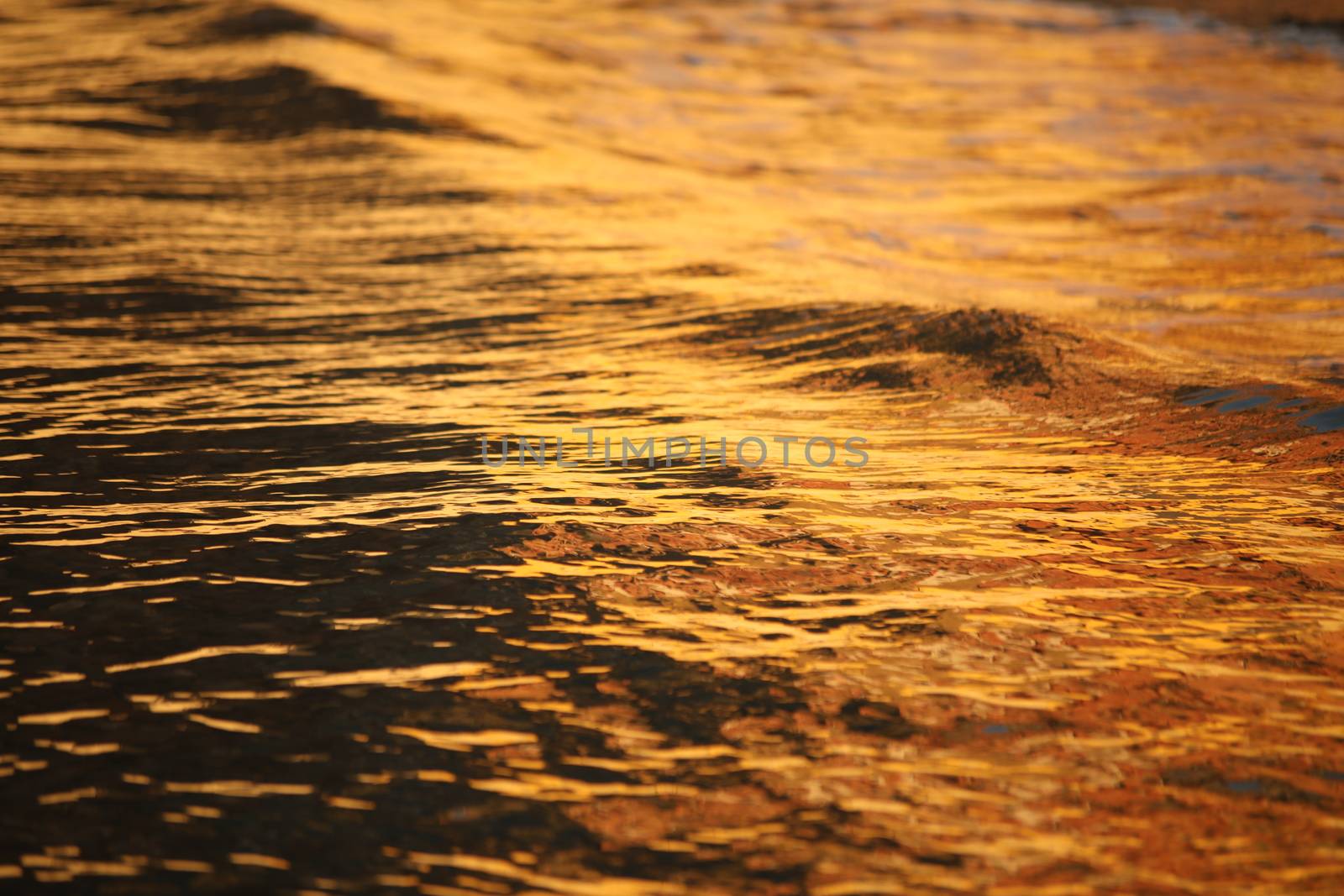 Water waves in the sea