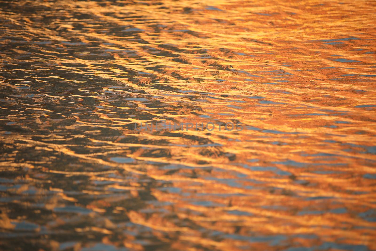 Water waves in the sea