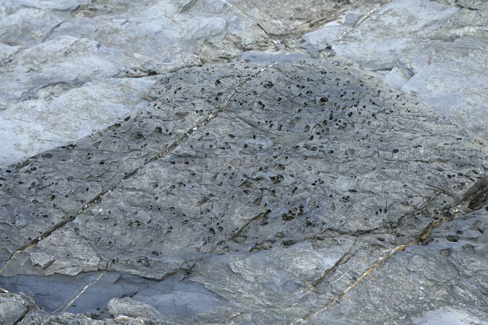 Raw stone Texture