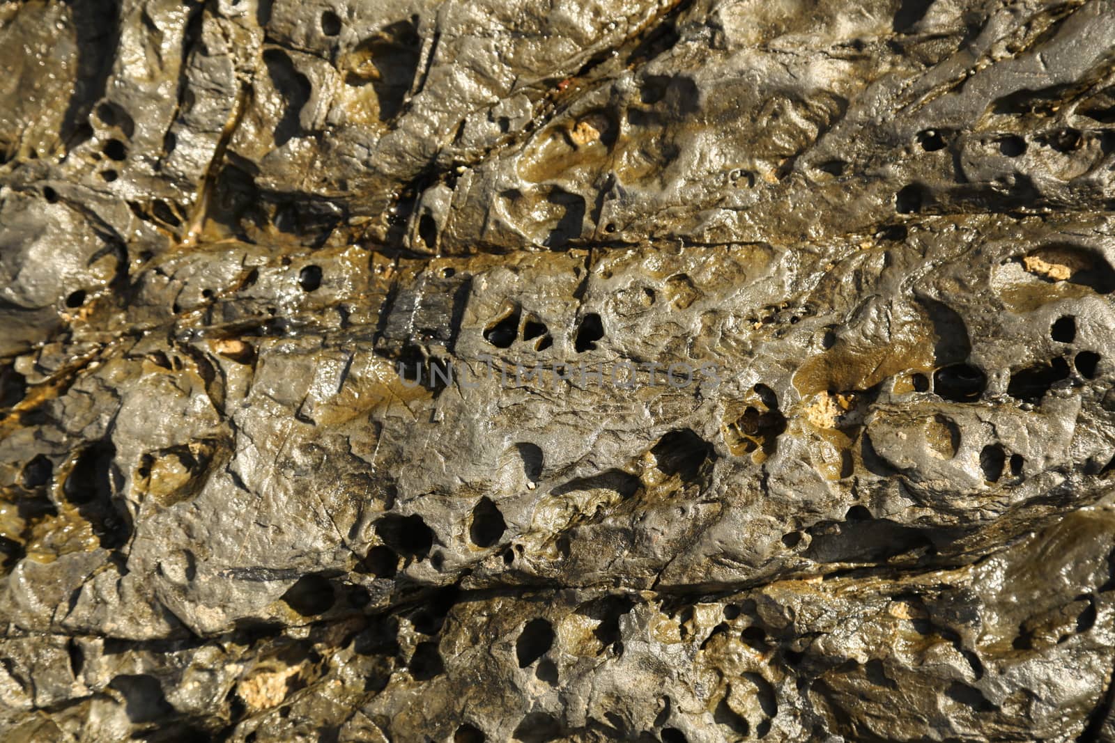 Raw stone Texture
