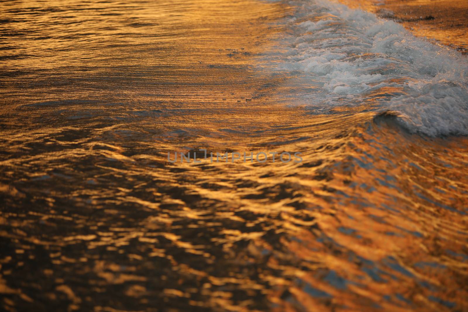 Water waves in the sea