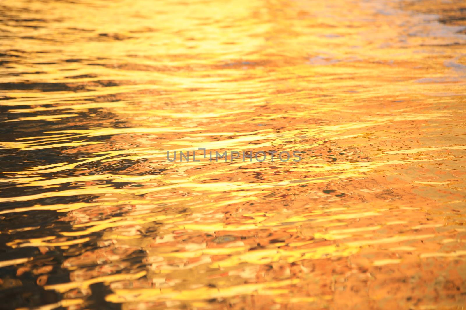 Water waves in the sea