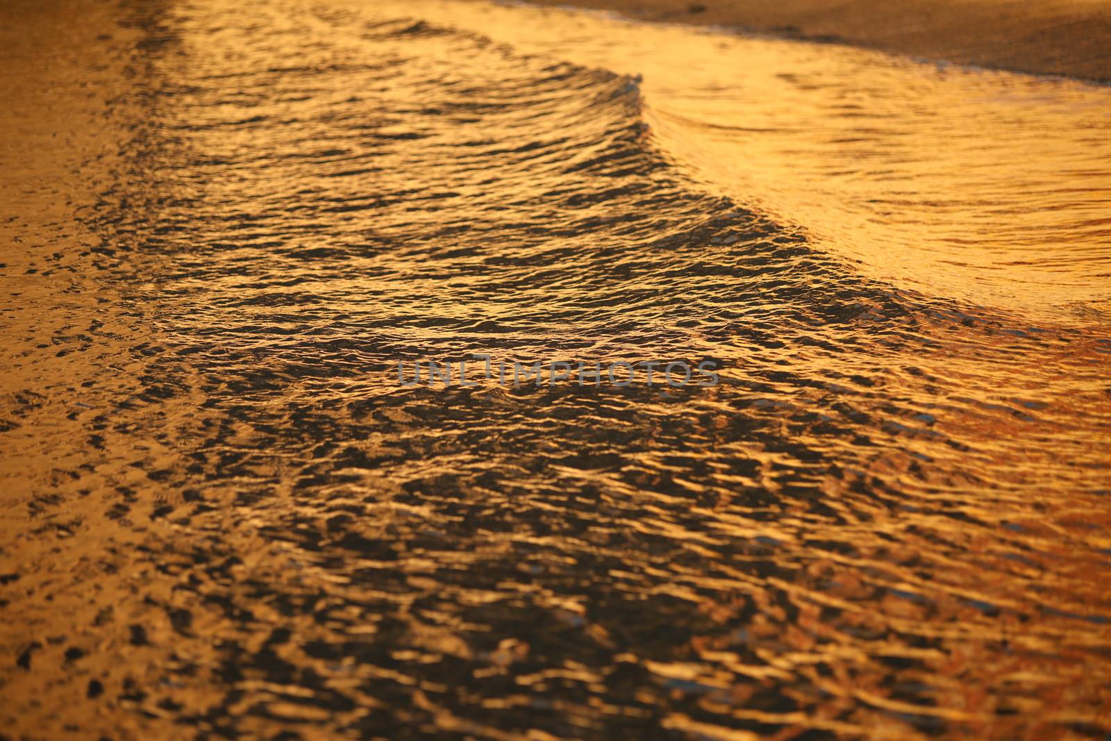 Water waves in the sea