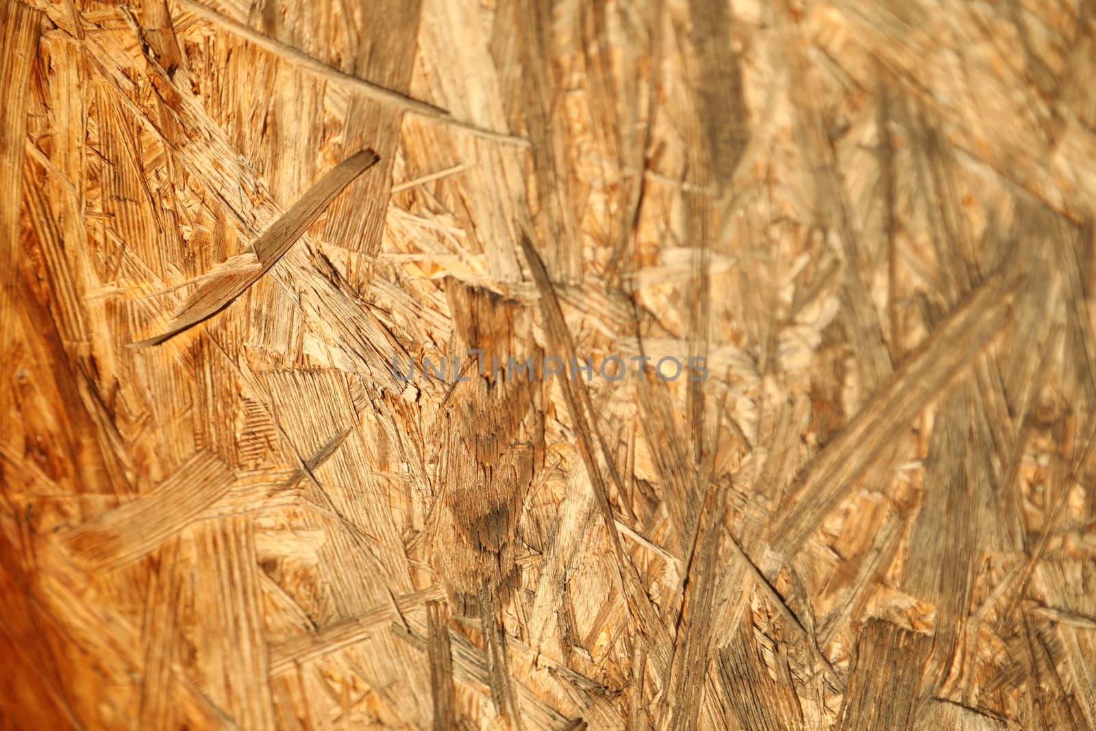 Abstract Wood Texture