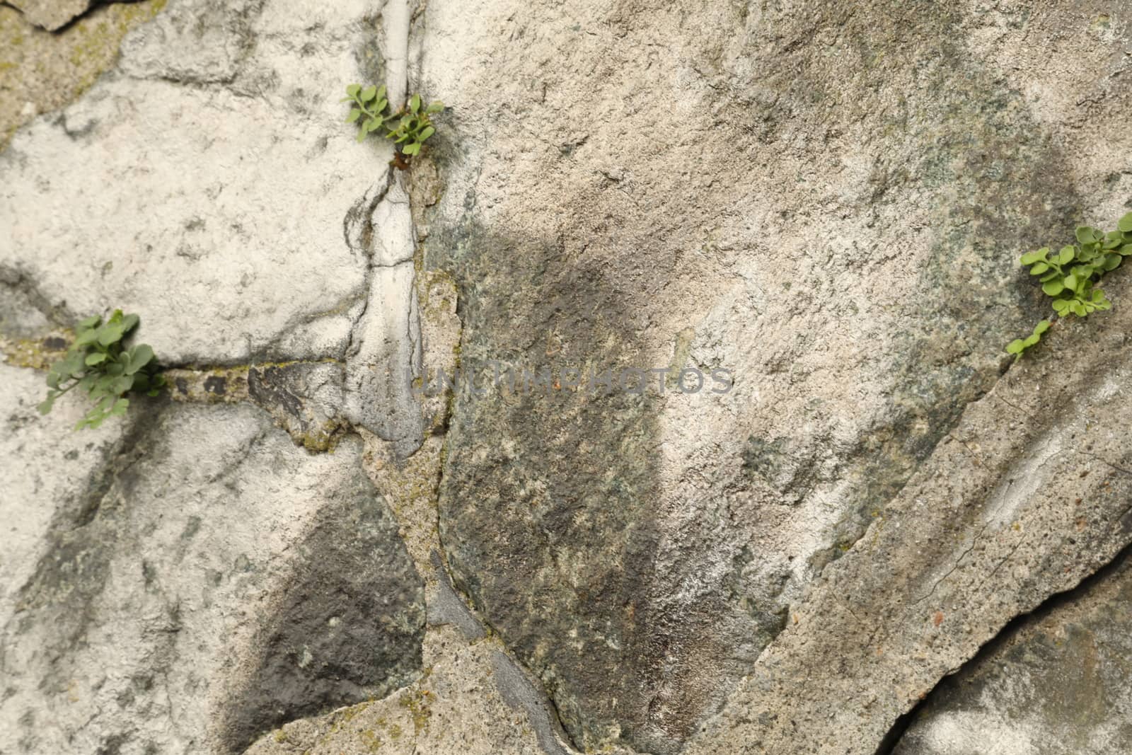 Raw stone Texture