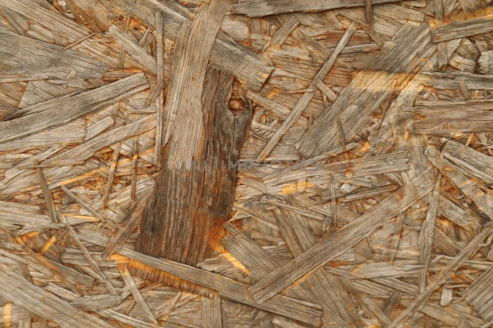 Abstract Wood Texture