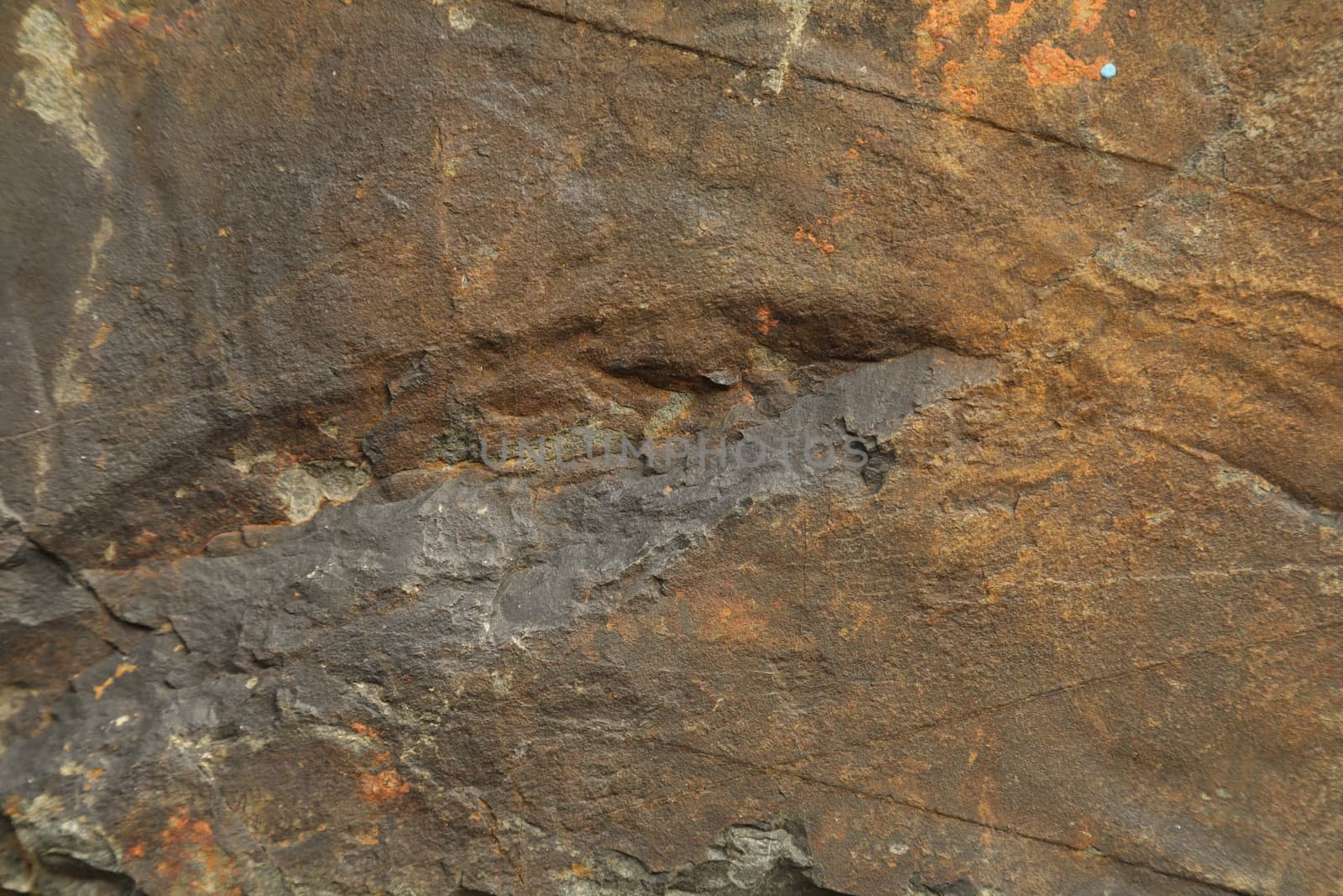 Raw stone Texture