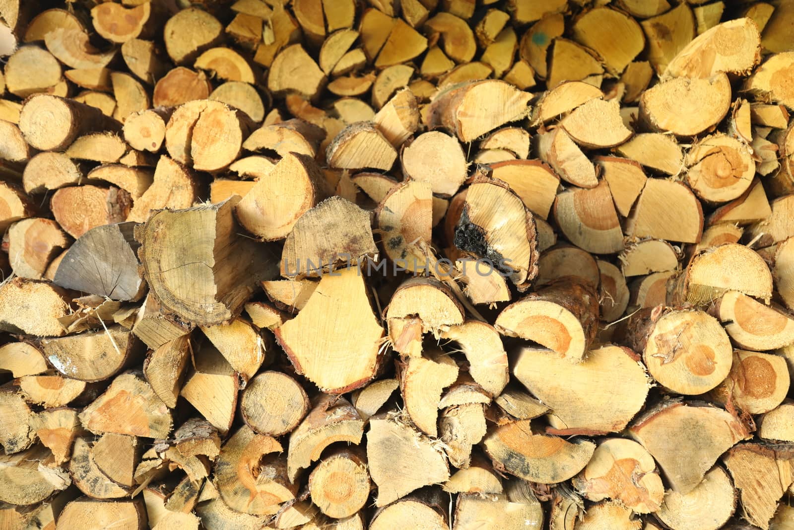 Abstract Wood Texture