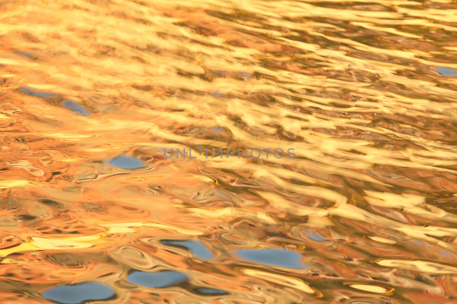 Water waves in the sea