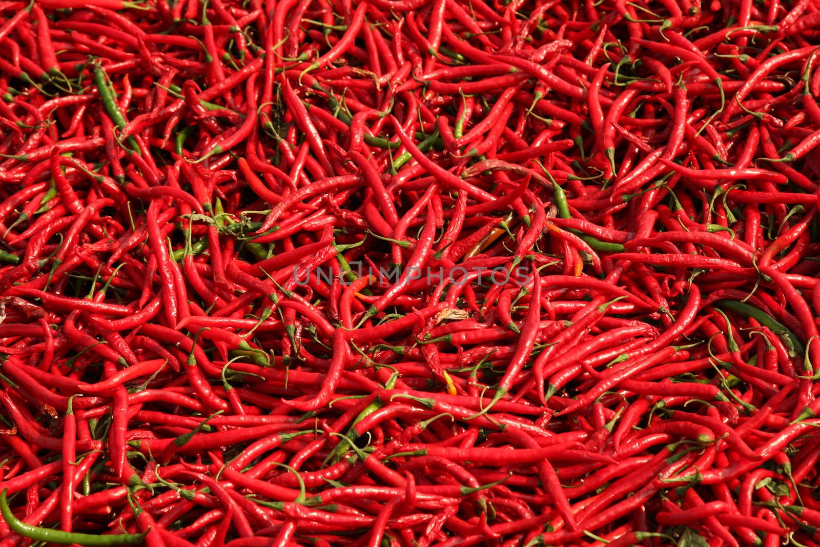 Vegetables close up