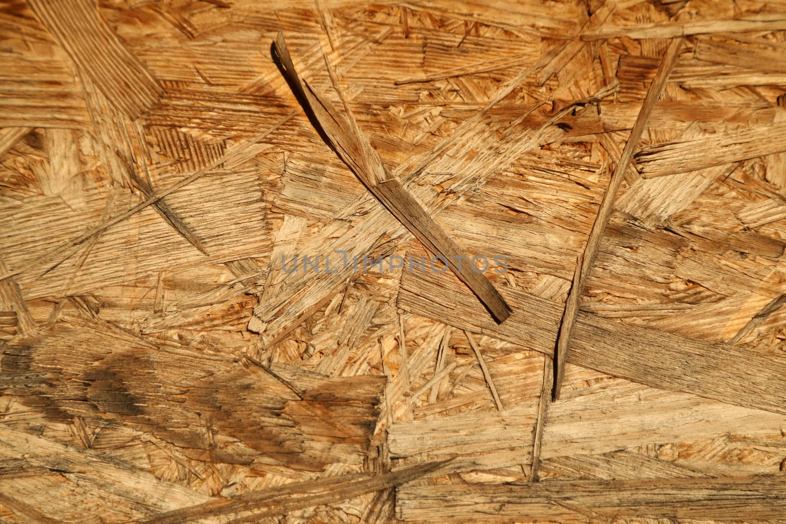 Abstract Wood Texture