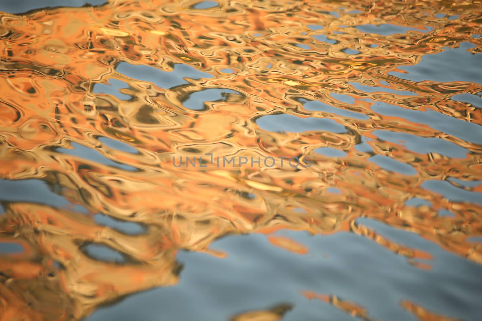 Water waves in the sea