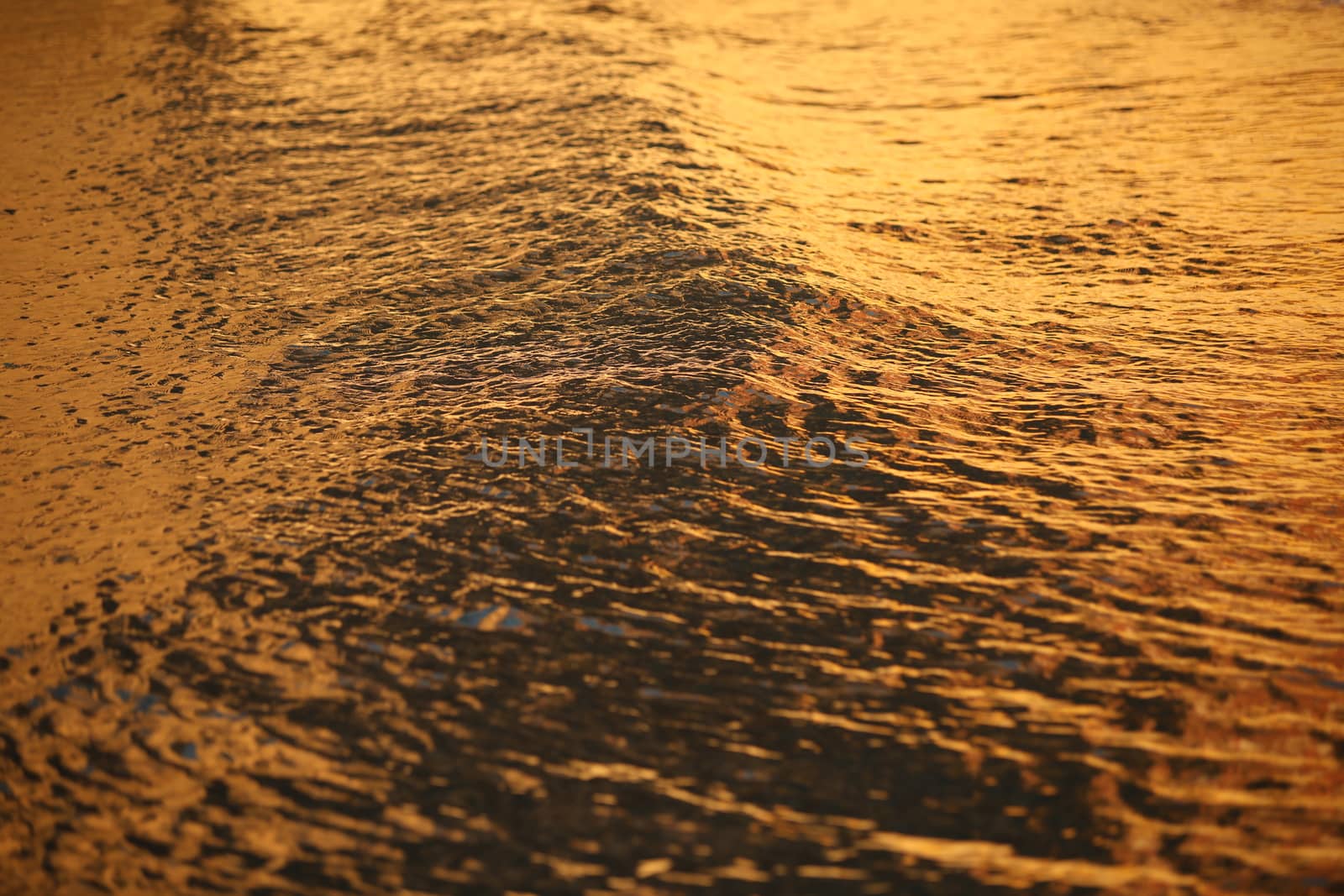 Water waves in the sea