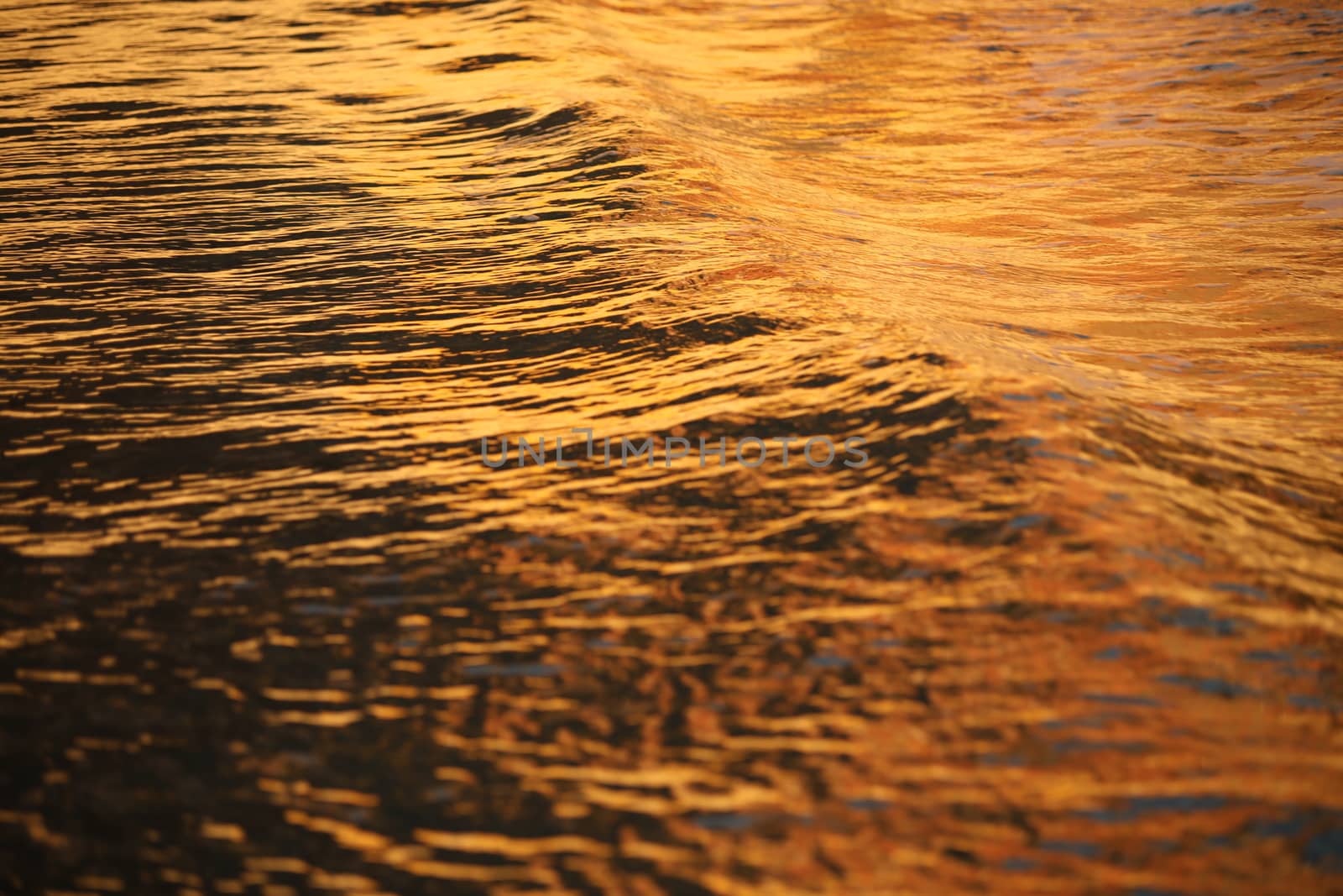 Water waves in the sea