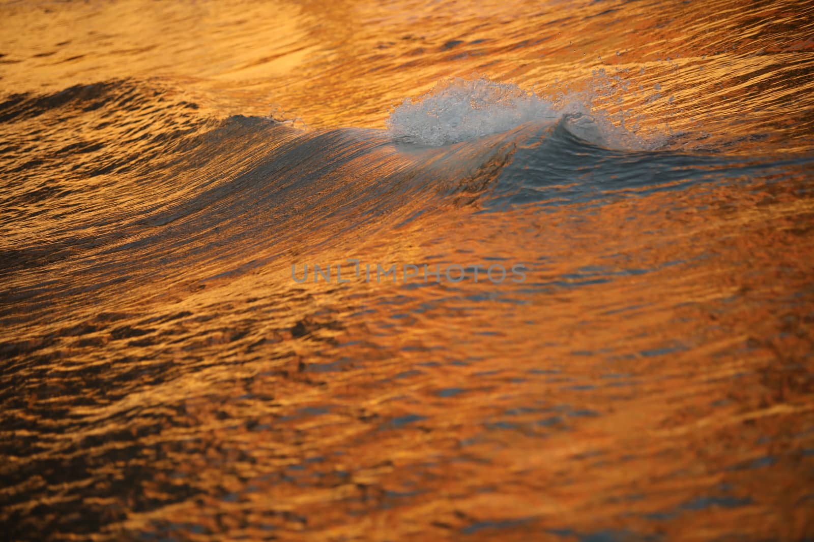 Water waves in the sea