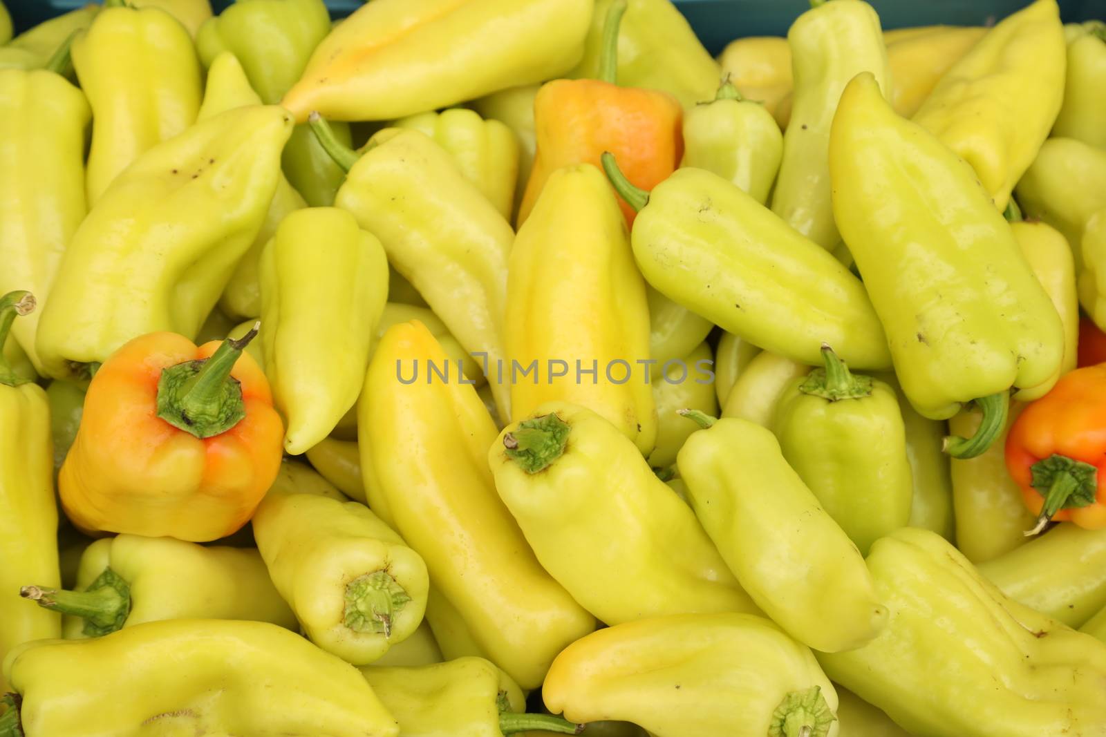Vegetables close up