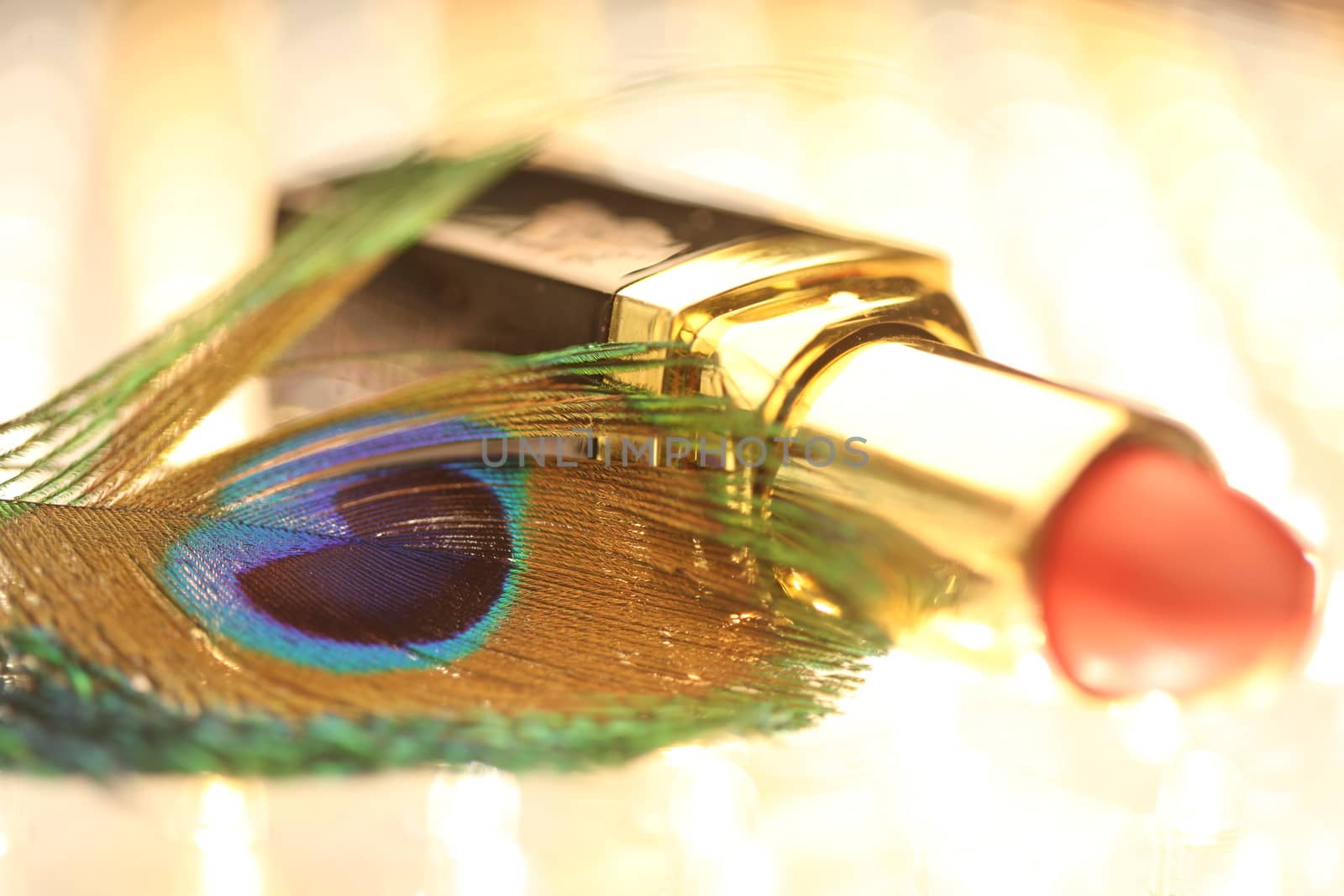 peacock feather closeup