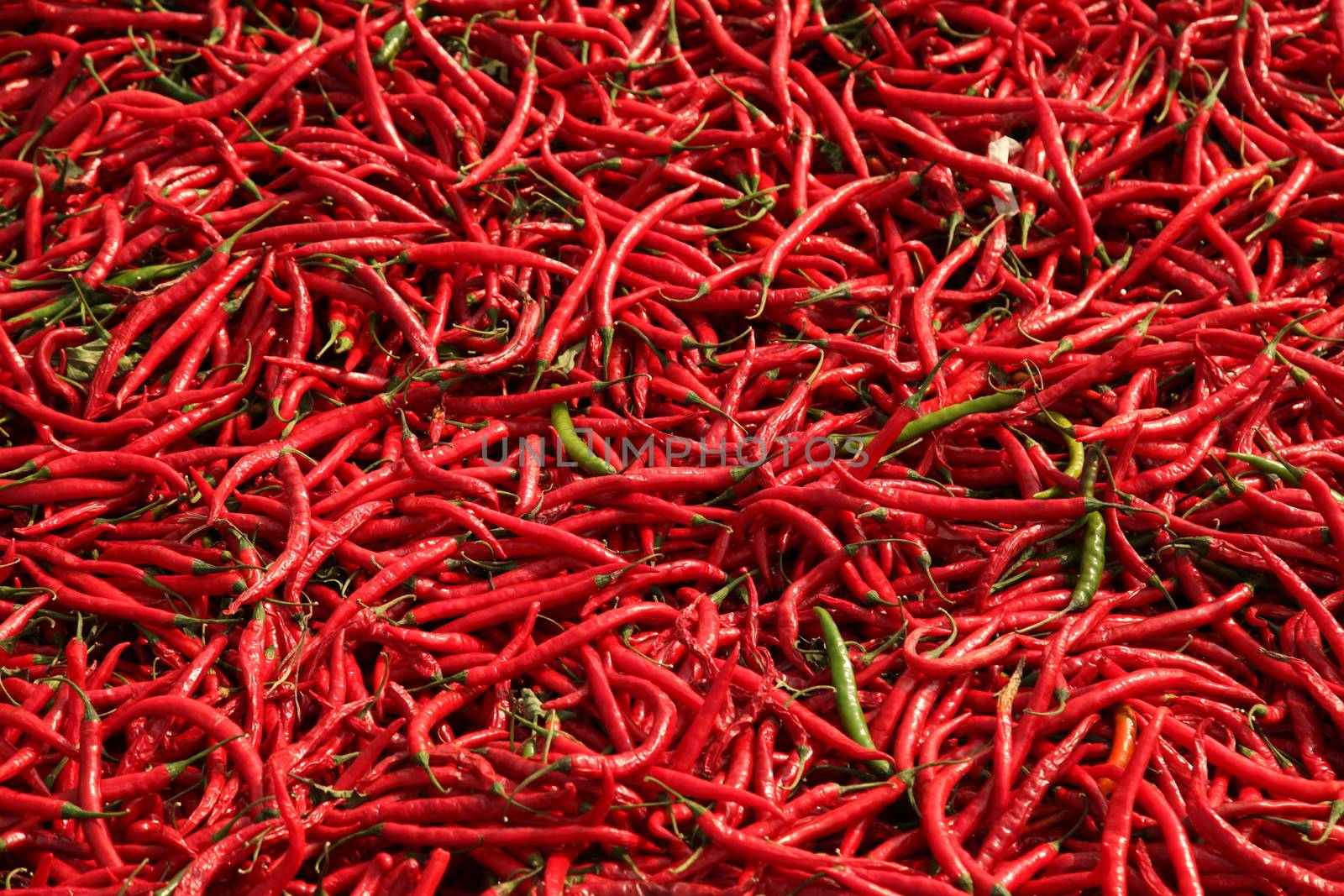 Vegetables close up