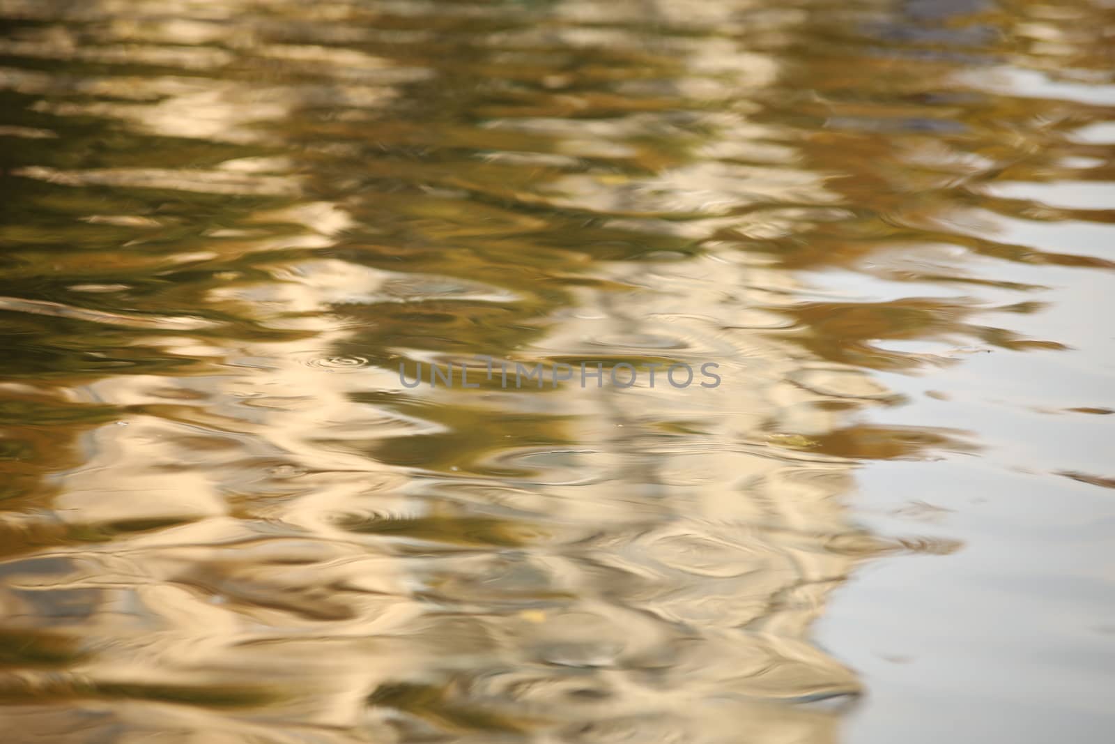 Water waves in the sea