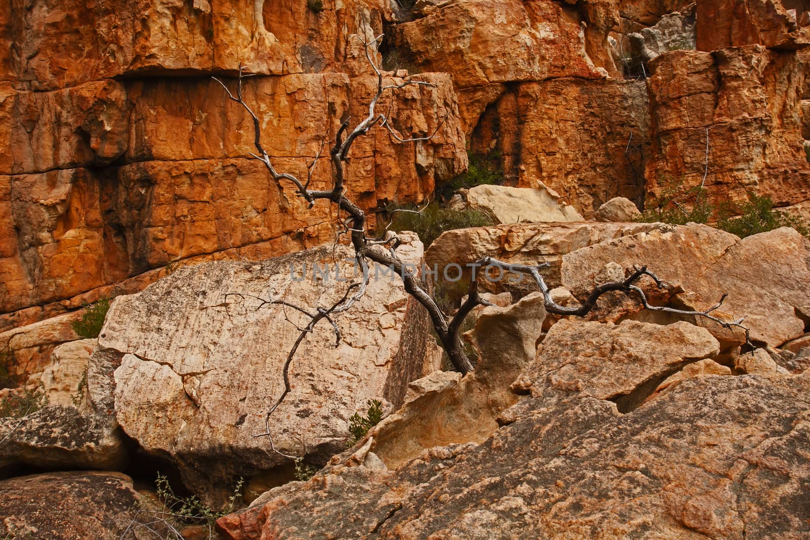 A scene of highly eroded sandstone formations in the Cederberg Wilderness Area, Western Cape. South Africa