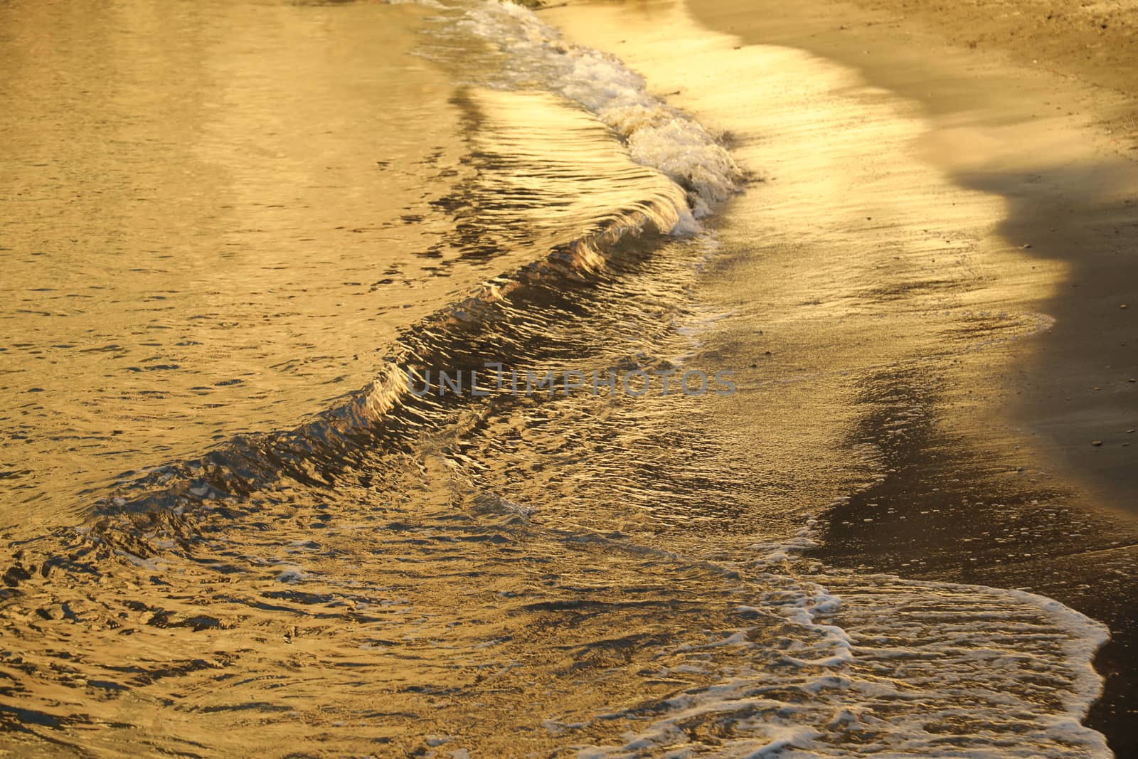 Water waves in the sea
