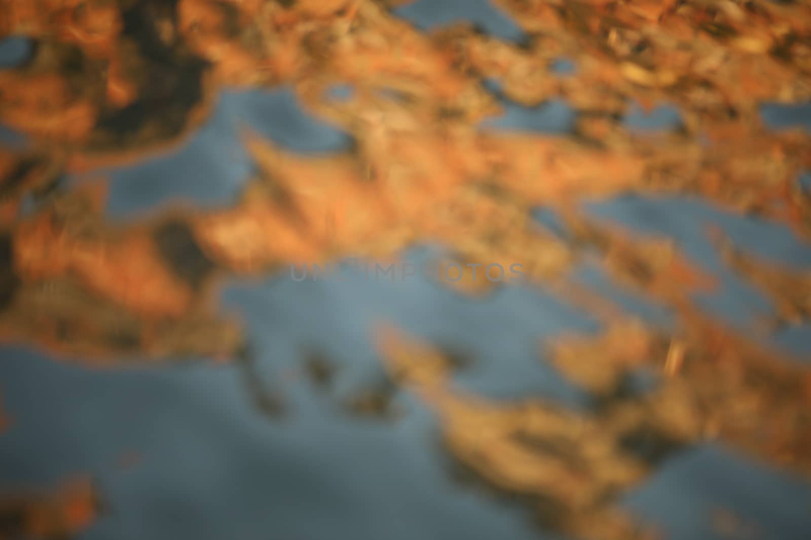 Water waves in the sea