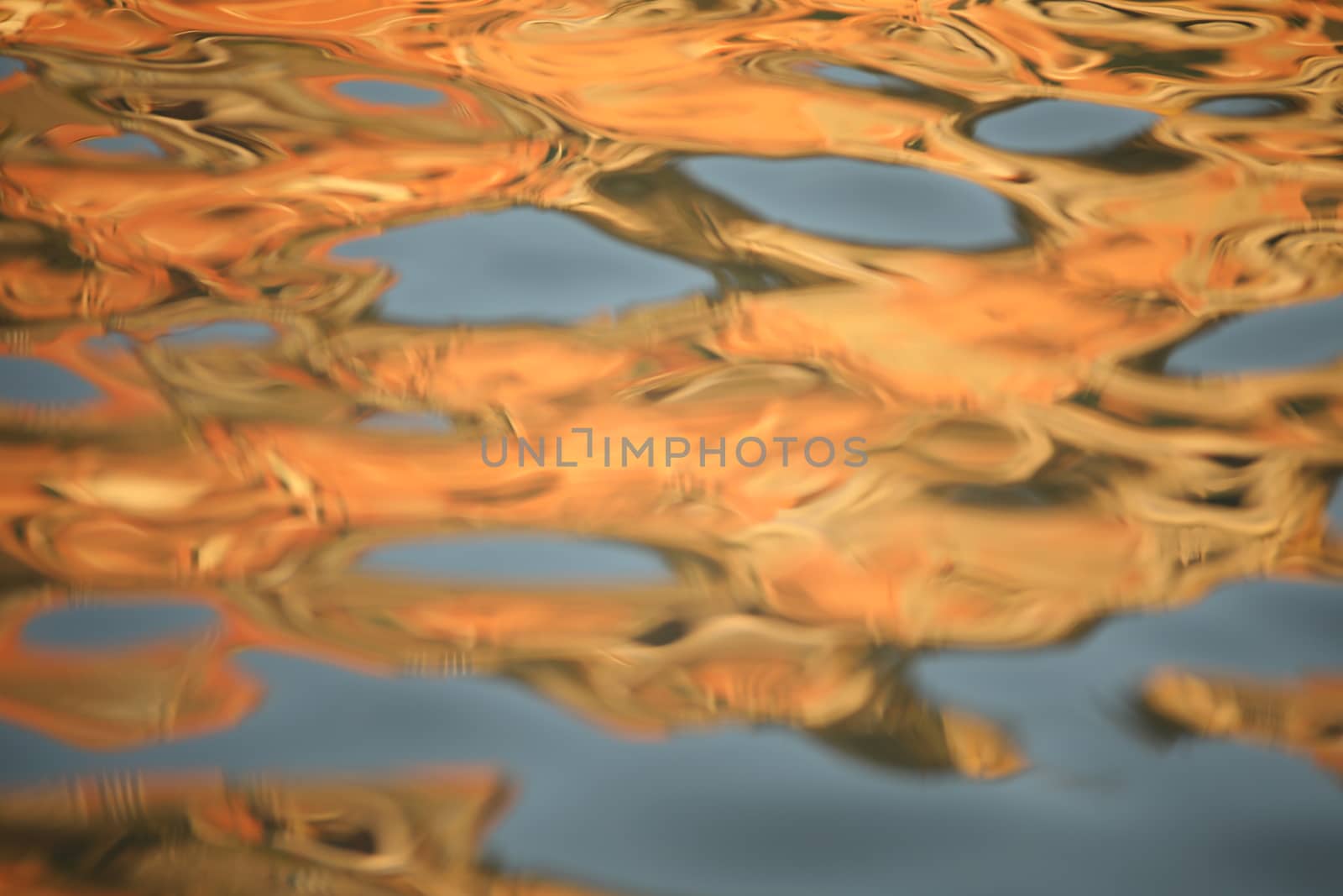 Water waves in the sea
