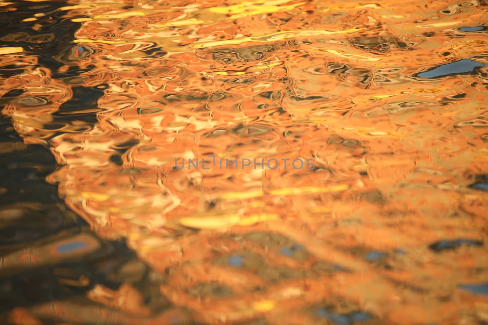 Water waves in the sea