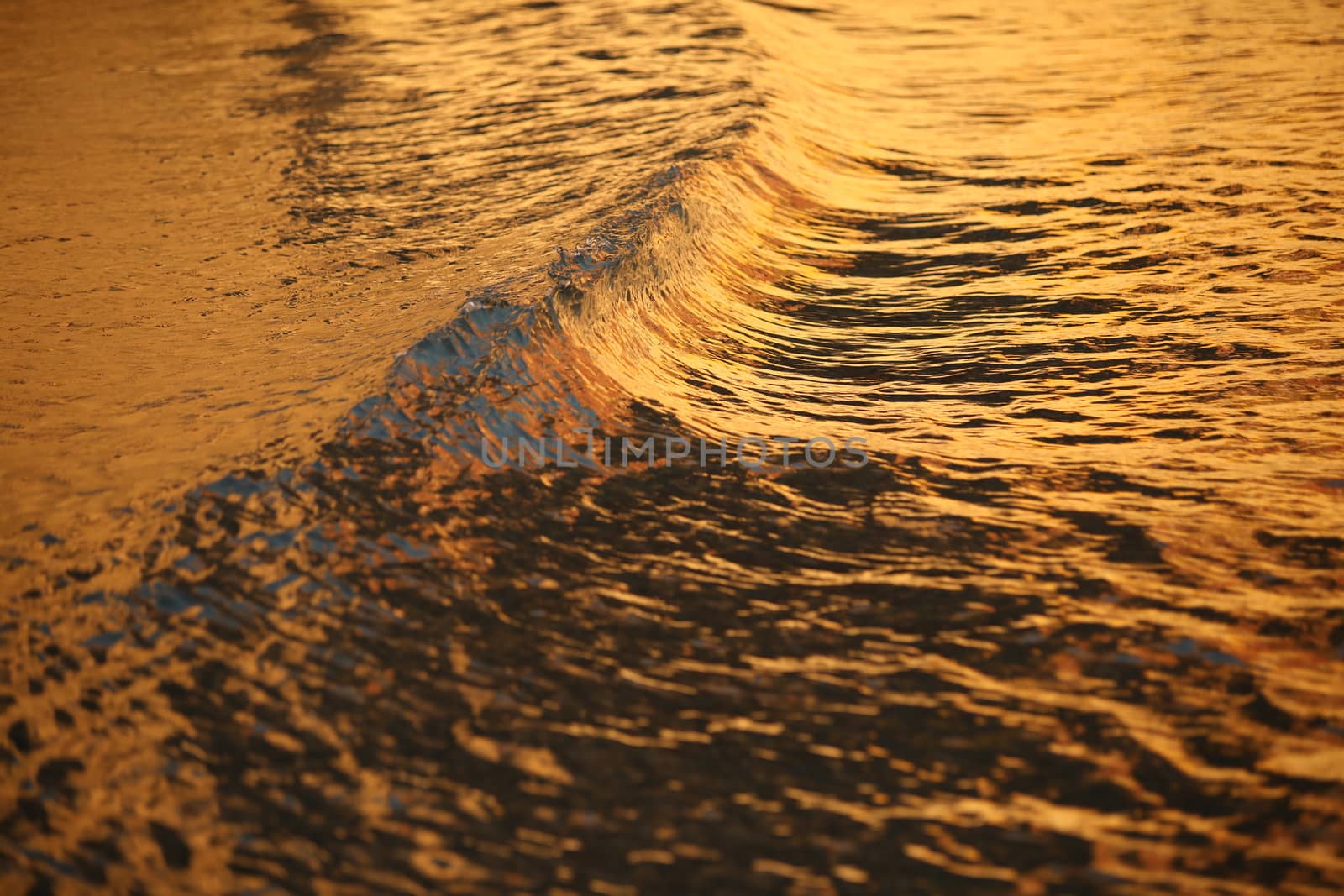 Water waves in the sea