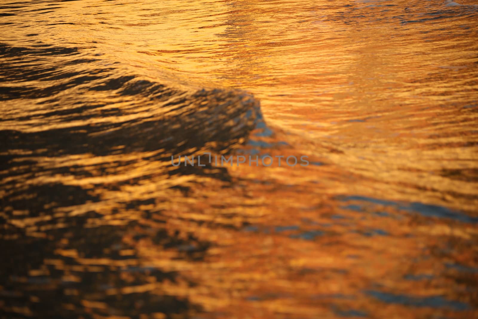 Water waves in the sea