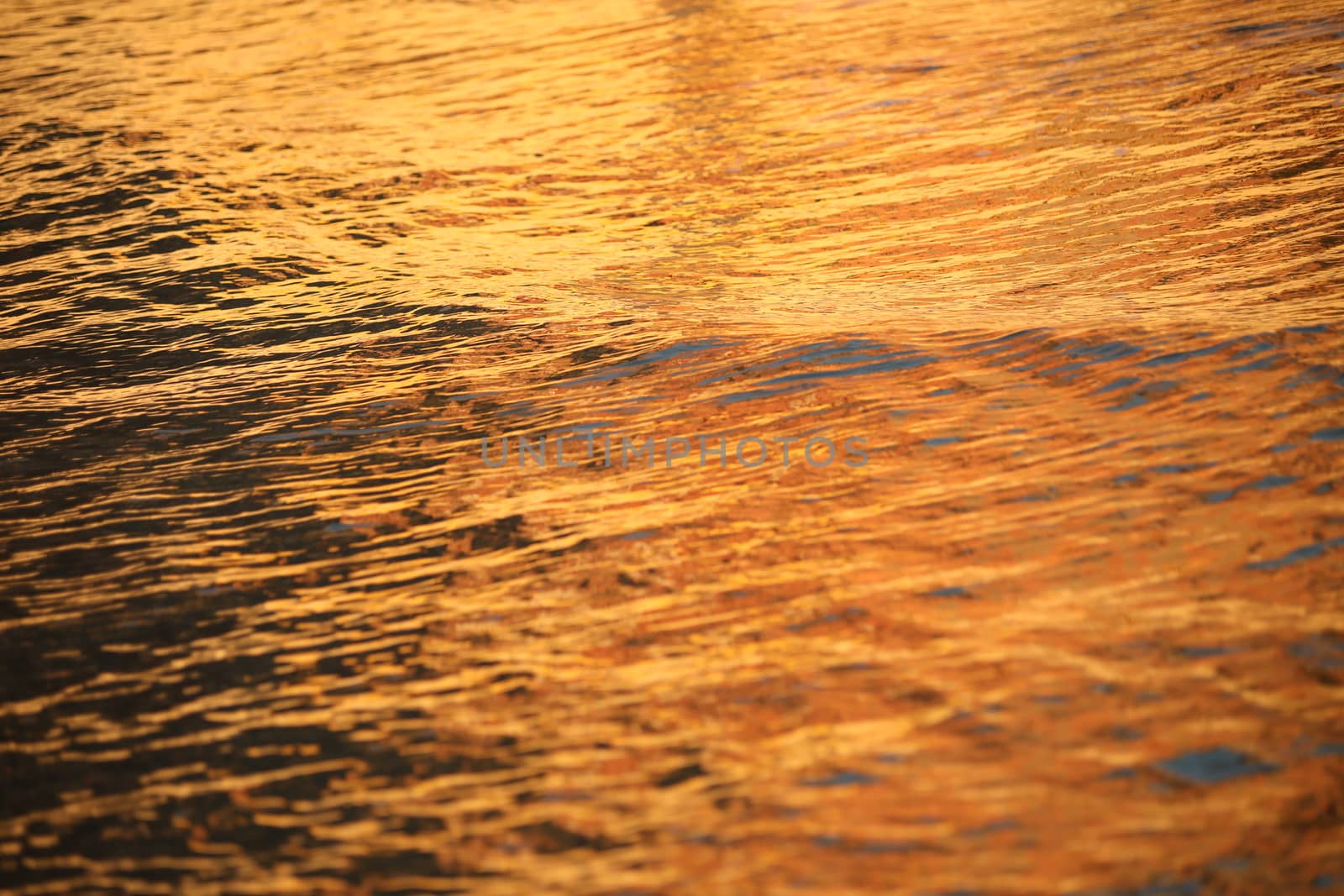 Water waves in the sea