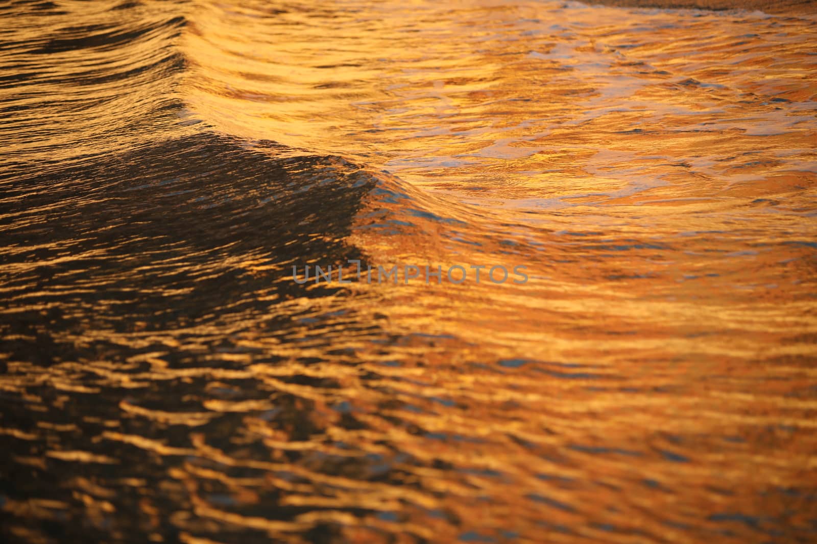 Water waves in the sea