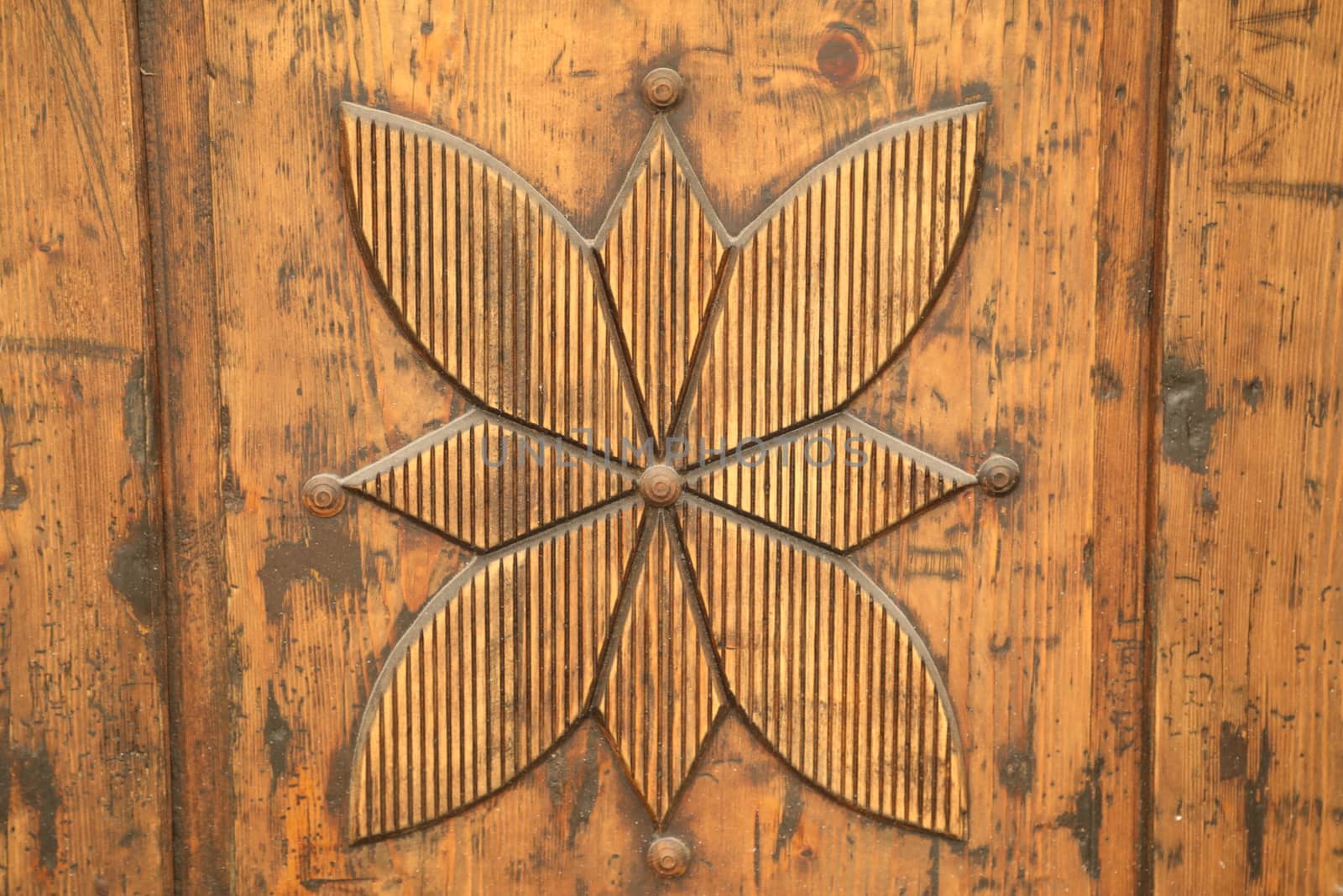 Abstract Wood Texture