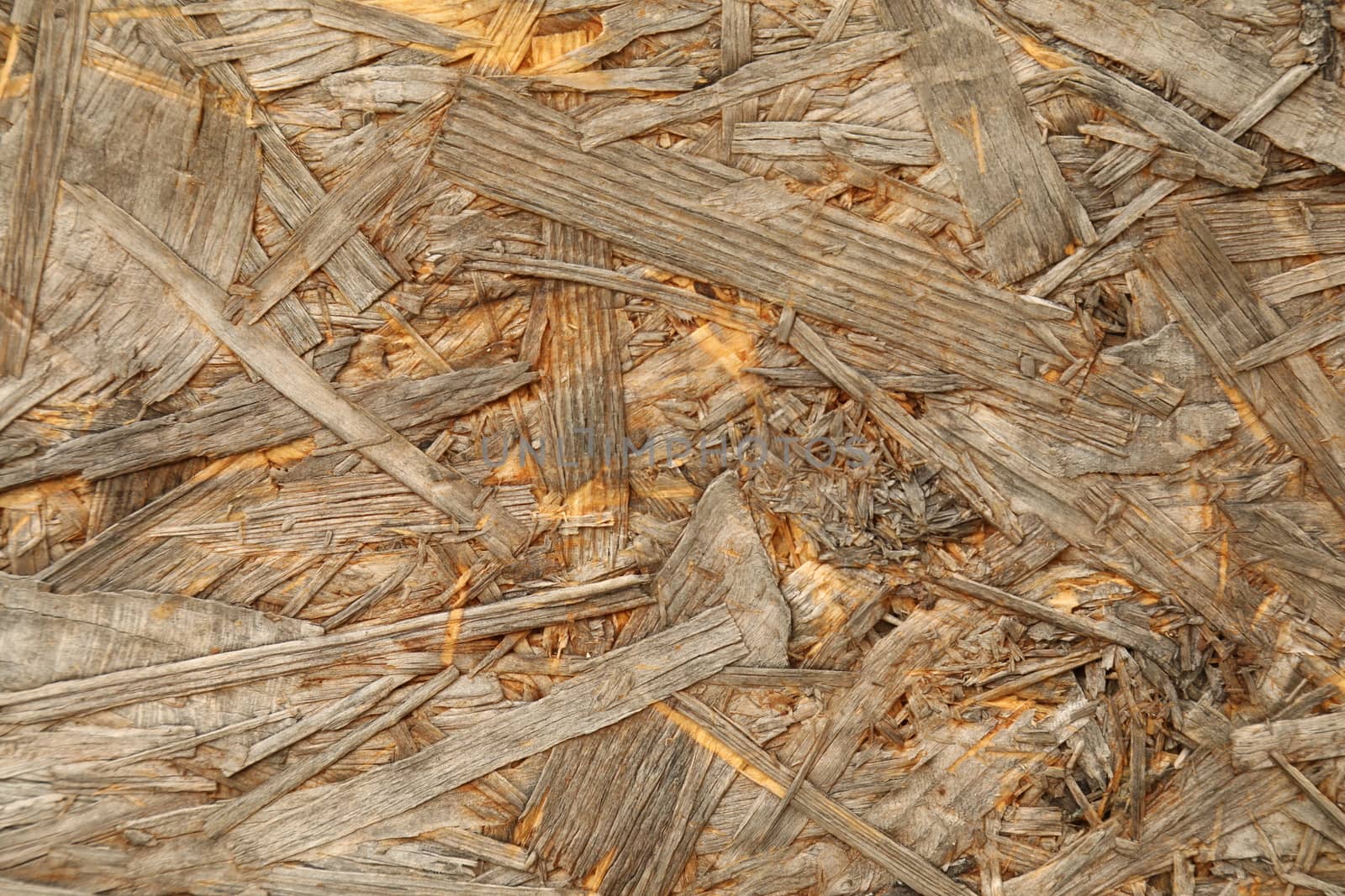 Abstract Wood Texture