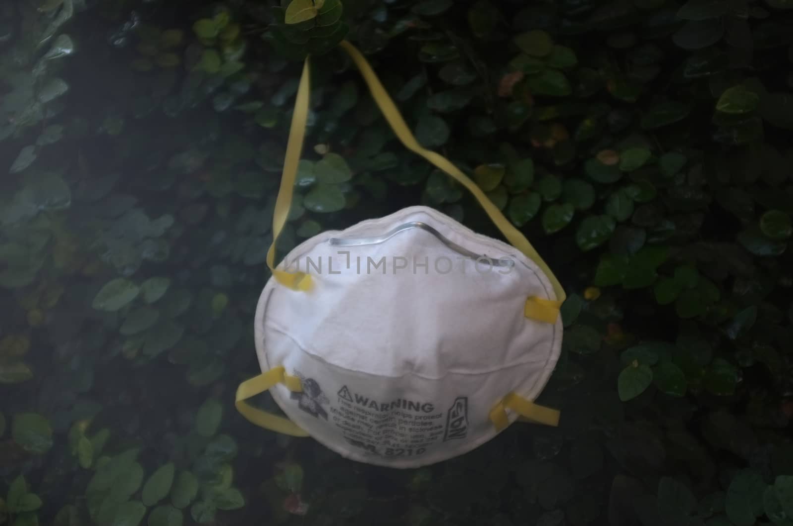 Bangkok, THAILAND - Mar 26, 2020 : N95 mask for protection against pollution, virus, flu and coronavirus (Covid-19). Protection pm 2.5. Air face mask. Medical Doctor mask on wall tree background. Copyspace for artwork . 