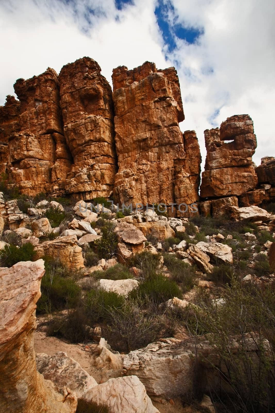 A scene of highly eroded sandstone formations in the Cederberg Wilderness Area, Western Cape. South Africa